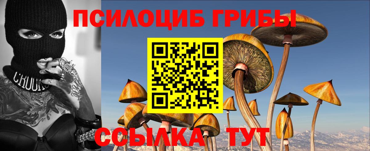 Галлюциногенные грибы Psilocybe  Вход с VPN  Шадринск  Галлюциногенные грибы Psilocybe 